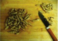 Ǻ�����鱦���񻷲˵�����ͼƬ����1