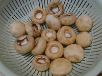 ������ԭʼ��ζ���ļ��Ģ������ͼƬ����1