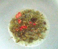 �������ӣ�Ұɽ����ˣ�������ͼƬ����4