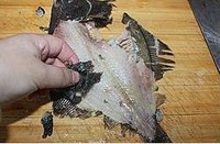 �����������������ͼƬ����3