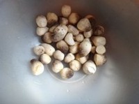 ��Ͳݹ�������ͼƬ����1