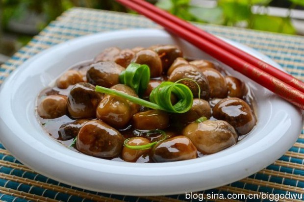 ��Ͳݹ�������