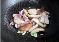 ���������㹽����������ͼƬ����6