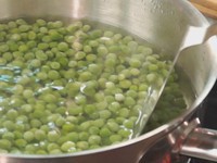 ���㶹������ͼƬ����1