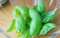 �Ų�������������ͼƬ����1