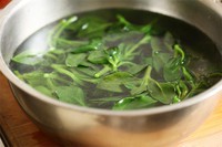 ��֭������������ͼƬ����3