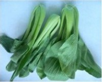 ���ͼ�֭���������ͼƬ����2