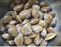 �����Ƹ������ͼƬ����1