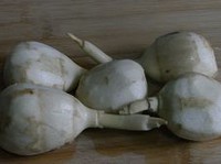 ��Ƭ���Ĺ�������ͼƬ����1