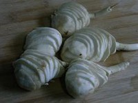 ��Ƭ���Ĺ�������ͼƬ����2