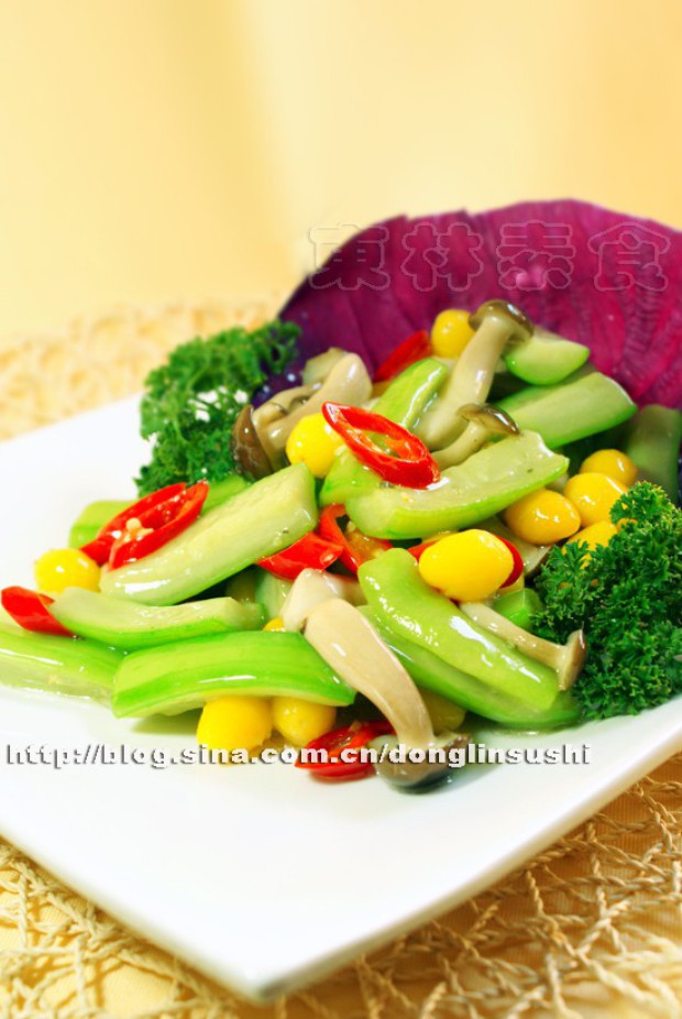 зζ����˿�ϵ�����,��ô��,зζ����˿��������ó���ϸ����ͼ�������