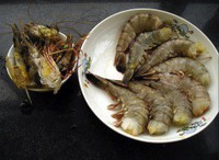 ������Ϻ������ͼƬ����2