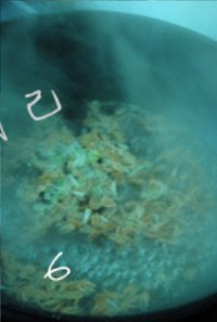 ϺƤ�ܲ�˿��������ͼƬ����5