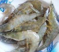 ������֭Ϻ������ͼƬ����1