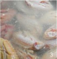 ���ųԵİ¶������������ͼƬ����3