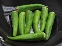 ���ཷ������ͼƬ����5