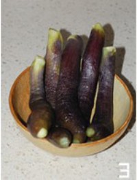 ���������ӵ�����ͼƬ����3