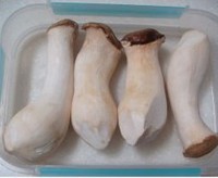 �����ӱ���������ͼƬ����1