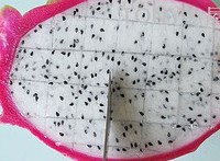 ��ȫ���˾�ϲ��һ���˵�����ͼƬ����2