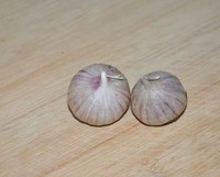 �������Źǵ�����ͼƬ����4