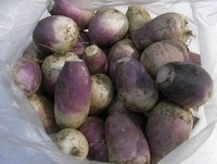 ���ܲ��ɵ�����ͼƬ����1