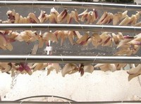 ���ܲ��ɵ�����ͼƬ����6