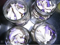 ���ܲ��ɵ�����ͼƬ����14