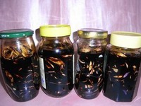 ���ܲ��ɵ�����ͼƬ����16