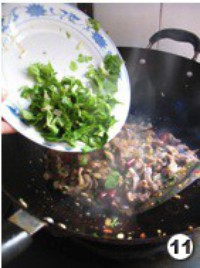 �������ӵ�����ͼƬ����11