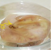 ������˿������ͼƬ����2