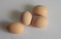 ���ҳ���������ͼƬ����1