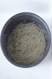 ��������˿������ͼƬ����1