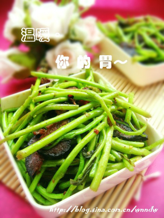 ��Ͳ���Ѫ���ӵ�����,��ô��,��Ѫ����������ó���ϸ����ͼ�������