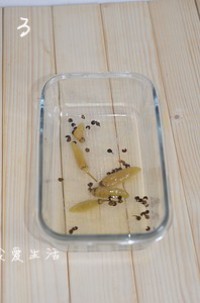 ˬ���ݲ˵�����ͼƬ����3