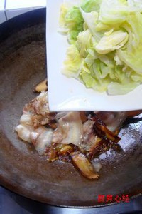 Բ�ײ˻ع��������ͼƬ����6