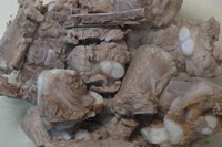 �Ź������׵�����ͼƬ����2