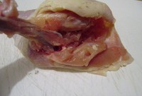 ��ʽ���ռ��ȵ�����ͼƬ����1