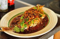 ����֭���������ͼƬ����11