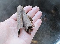 ������ţ�������ͼƬ����9