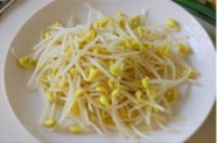 ��ʽ�ݲ��廨�������ͼƬ����2