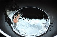 ������������Ϻ������ͼƬ����1