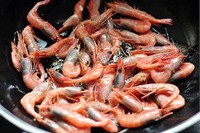 ������������Ϻ������ͼƬ����2