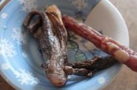 ާ�˸ɳ����������ͼƬ����2