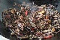 ާ�˸ɳ����������ͼƬ����5