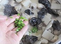 ɽҩ��ľ�����ݹ�������ͼƬ����10