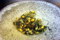 ���ϳ�����������ͼƬ����4