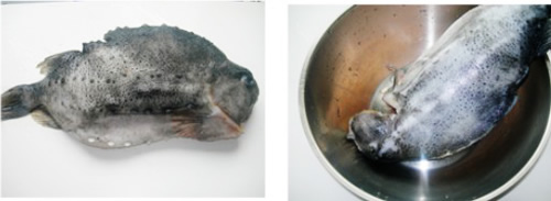 ��2���������ΰߵļҳ�����ͼƬ����