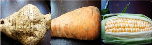 ��2�����ܲ������Ź����ļҳ�����ͼƬ����