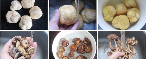 ��2���Ź�Ģ�����ļҳ�����ͼƬ����