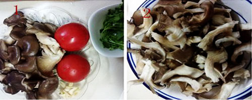 ��2����������Ģ���ļҳ�����ͼƬ����